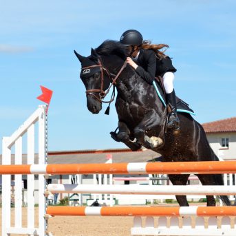 Aansprakelijkheid bij bedrijfsmatig gebruik paard