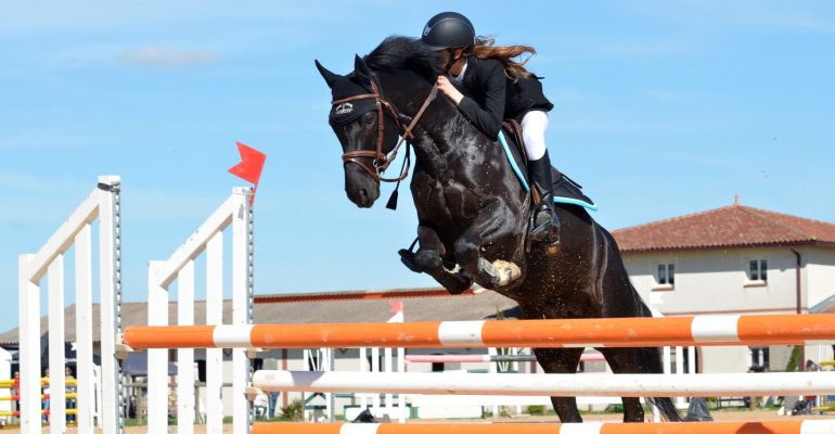 Aansprakelijkheid bij bedrijfsmatig gebruik paard