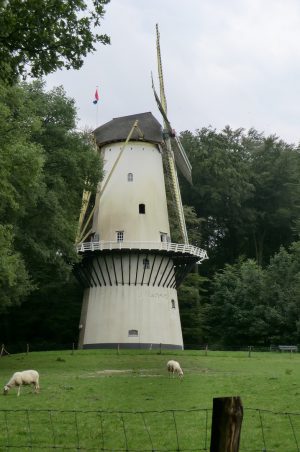 Dringend eigen gebruik bedrijfsruimte