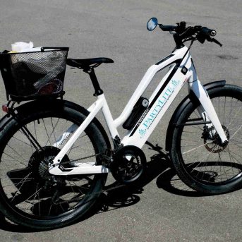 Elektrische fiets en speed-pedelec