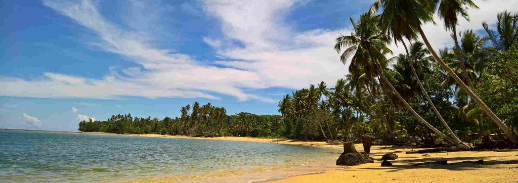 vakantiegeld, vakantie geld, vakantiegeld uitbetalen, vakantiegeld berekenen,  vakantietoeslag, vakantiebijslag, 8% vakantiegeld, belasting vakantiegeld, uitbetalen vakantiegeld, vakantiecenten vakantiebetaling