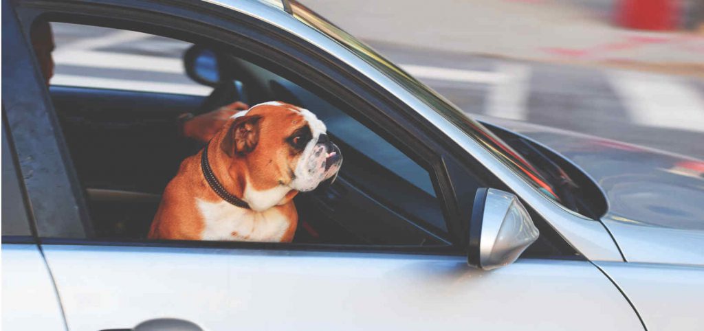 Inzittendenverzekering, Schadeverzekering Inzittenden, SVI, OIV, ongevallen inzittendenverzekering, waarom Inzittendenverzekering, Inzittendenverzekering auto, wat is een inzittendenverzekering