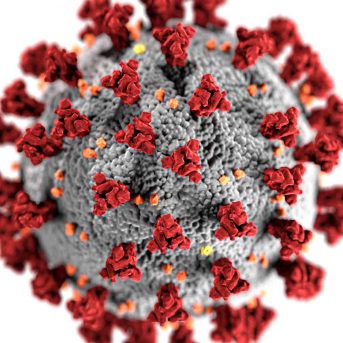 Werkgeversaansprakelijkheid Covid-19 / Corona-virus