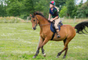 Val van een onbeleerd paard, eigen schuld val van paard, eigenschuldpercentage paardrijden