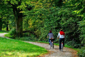 Fietsongeval hobbels door boomwortels, worteldruk letselschade, letsel door val over boomwortel, Rechtbank Oost-Brabant 2 juli 2024, ECLI:NL:RBOBR:2024:3114